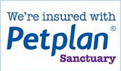 Petplan Insured Cat Sitter